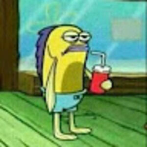 Meet your Posher, Audrey